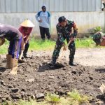TNI dan Warga Gotong Royong Perbaiki Jalan di Way Tuba