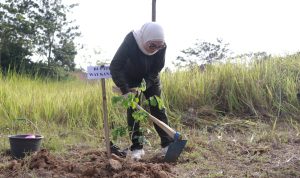 Bupati Way Kanan Pimpin Gerakan Bersih dan Tanam Pohon